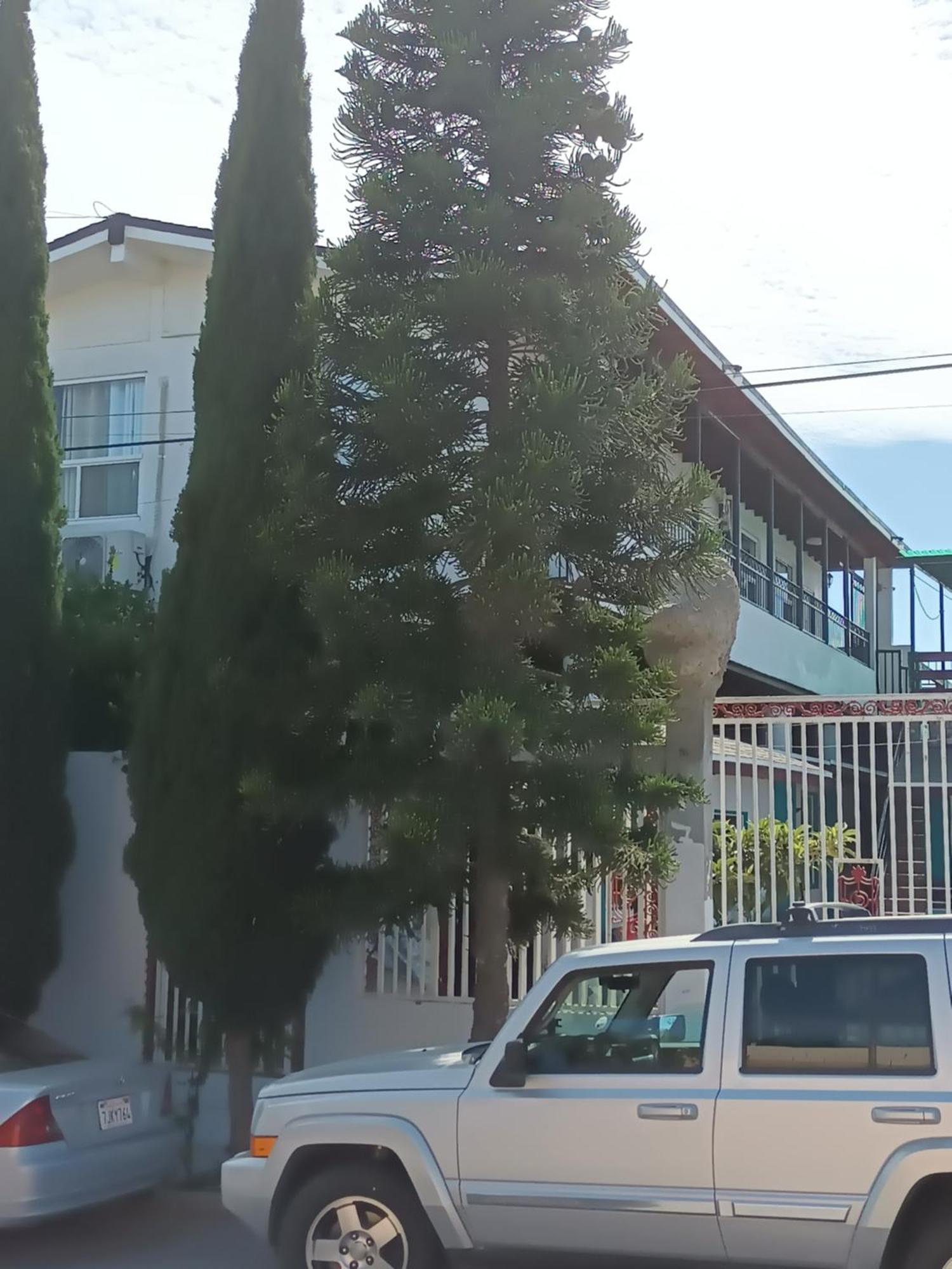 Apartamentos Rosarito.!! Con Vista Al Mar ! Eksteriør billede